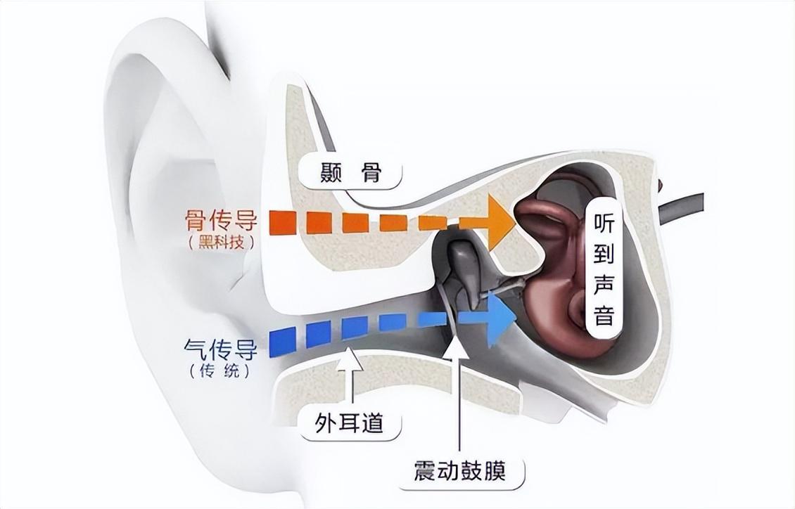 (图6)