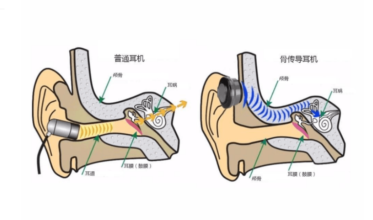 (图7)