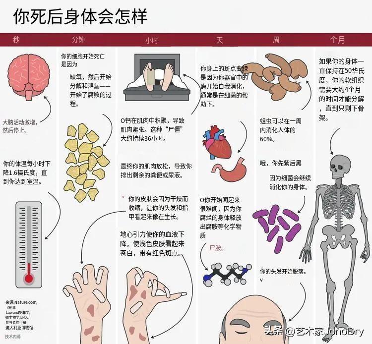 (图16)