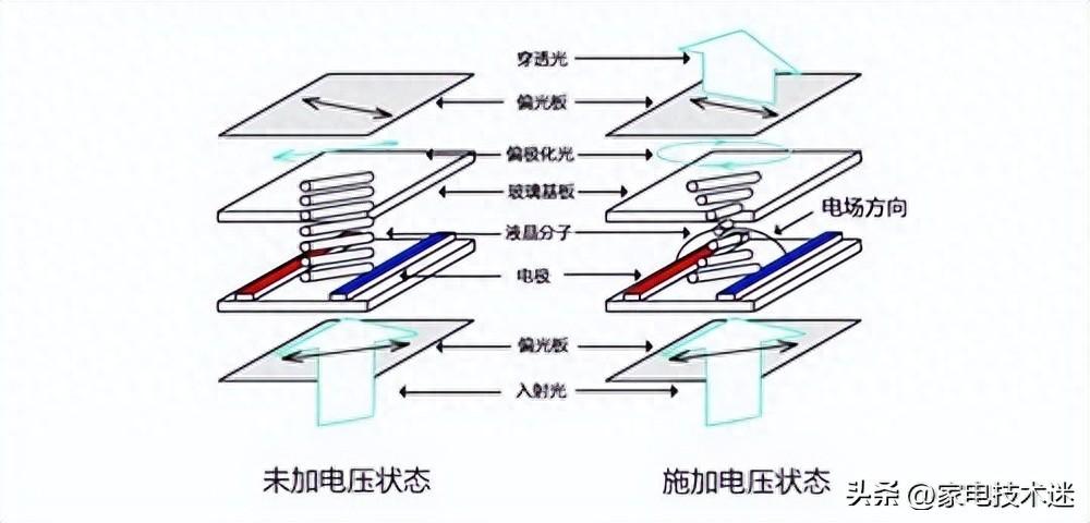 (图1)