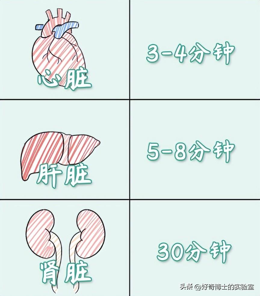 (图12)