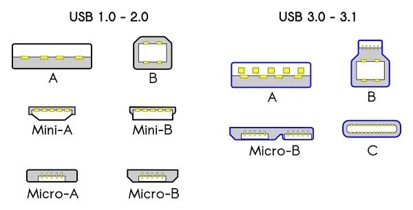 (图2)