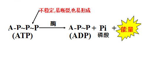 (图7)