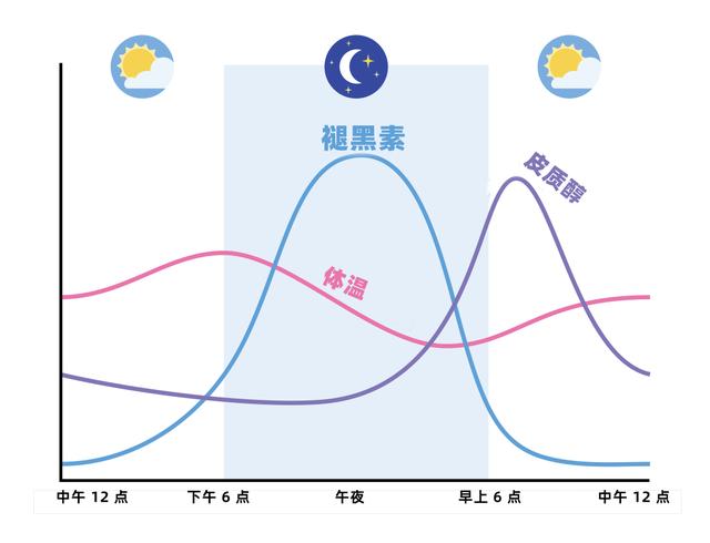 (图3)